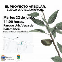 Llega a Villamayor el “Proyecto Arbolar” de la Diputación de Salamanca, con una actividad abierta a todos los públicos