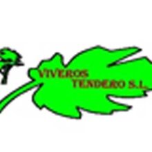 VIVEROS TENDERO